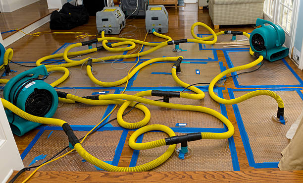 Professional Water Extraction technician working in Haydenville, OH